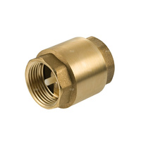 Zawór zwrotny EFAR Art. 480 2'' GW