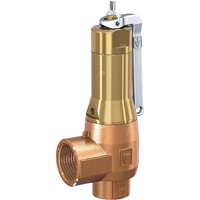 Zawór bezpieczeństwa DSV DGF 40-5.5