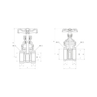 Zawór wodny PERFEXIM PHA-022 GW 3'' x GW DN 80