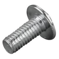 Śruba soczewkowa z podkładką