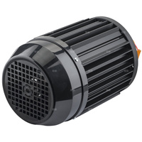 Silnik Tornado/Magnum xx10