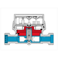 Wodomierz jednostrumieniowy suchobieżny antymagnetyczny, typu GSD8-I DN 15 Q3=1,6 m3/h R100/50, Tmax: 50st.C, L=110mm