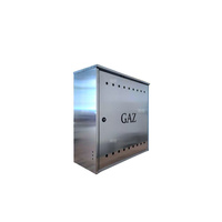 Skrzynka gazowa 600x600x250, wolnostojąca, ze skośnym daszkiem, stal nierdzewna