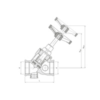 1620 Zawór skośny antyskażeniowy 2"