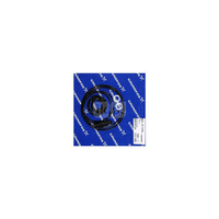 Zestaw oringów SEG B/C