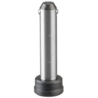 Sworzeń wciskany zmontowany