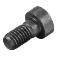 Śruba z łbem walcowym